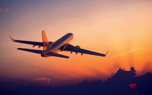flight-at-sunset